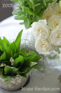 あけましておめでとうございます