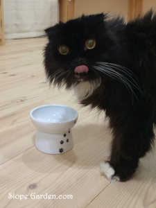 クロネコ模様のかわいい猫皿