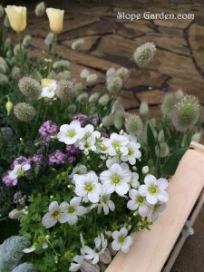 IKEAで見つけた『フラワーボックス』が、超絶お気に入りに！