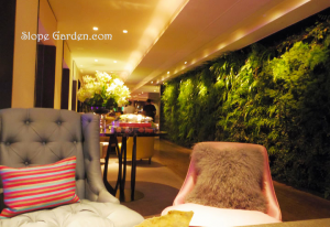 香港で見た 垂直庭園！崖面ロックガーデンにも取り入れたい